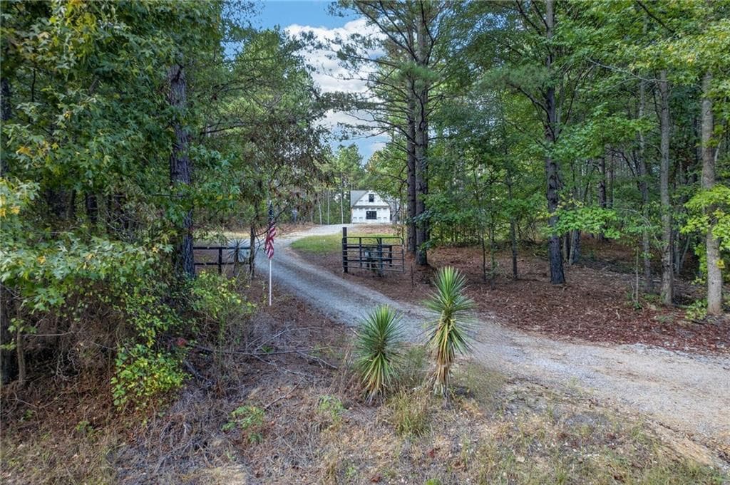 4 bedroom, 2 bathroom, 1,733 sq ft single family residence for sale at 410 PLEASANT HILL Road, Rockmart, GA 30153 — photo 9