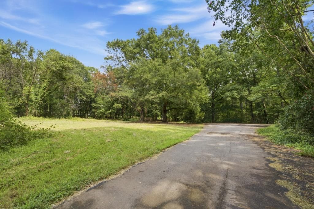 unimproved land for sale at 7792 Lyle Drive, Riverdale, GA 30296 — photo 3