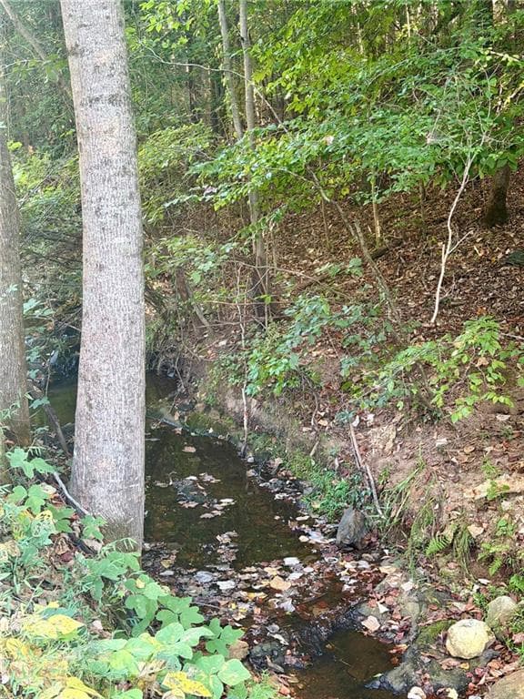 unimproved land for sale at 0 Old Roanoke Road, Bowdon, GA 30108 — photo 3