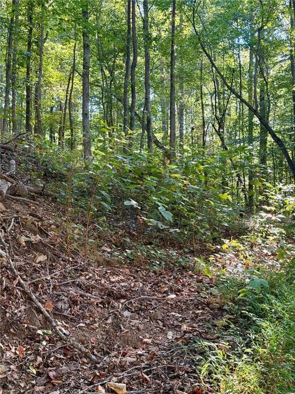 unimproved land for sale at 0 Old Roanoke Road, Bowdon, GA 30108 — photo 9