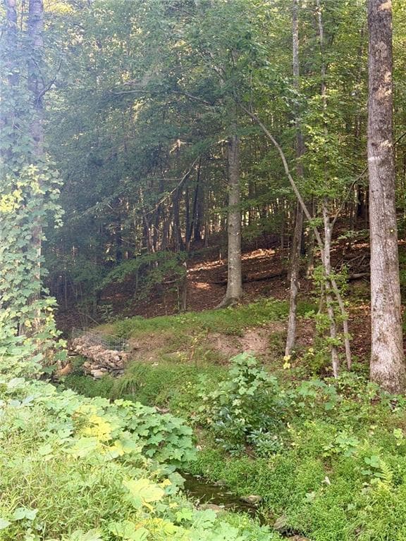 unimproved land for sale at 0 Old Roanoke Road, Bowdon, GA 30108 — photo 7