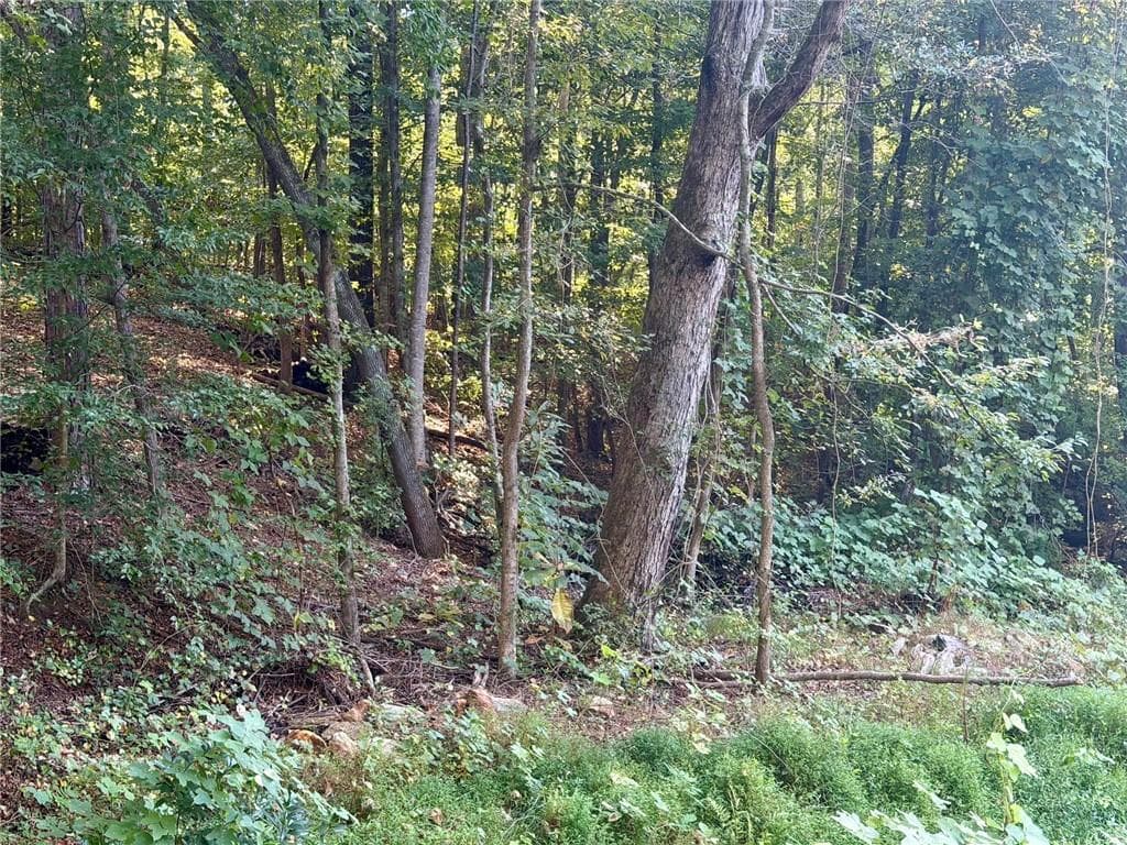 unimproved land for sale at 0 Old Roanoke Road, Bowdon, GA 30108 — photo 10