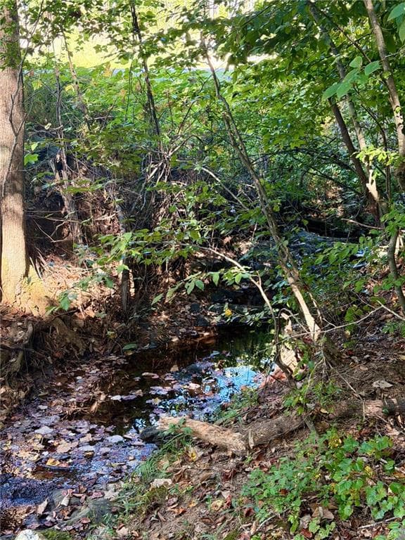 unimproved land for sale at 0 Old Roanoke Road, Bowdon, GA 30108 — photo 4