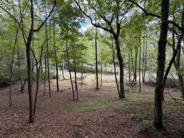 single family residence for sale at 133 Seneca Drive, Ellijay, GA 30540