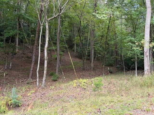 single family residence for sale at 133 Seneca Drive, Ellijay, GA 30540 — photo 2