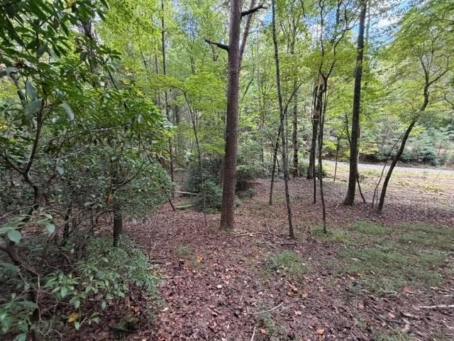 single family residence for sale at 133 Seneca Drive, Ellijay, GA 30540 — photo 3
