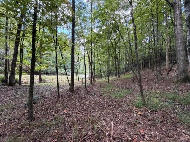 single family residence for sale at 133 Seneca Drive, Ellijay, GA 30540 — photo 4