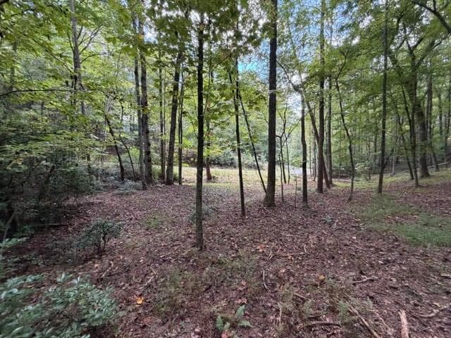 single family residence for sale at 133 Seneca Drive, Ellijay, GA 30540 — photo 5