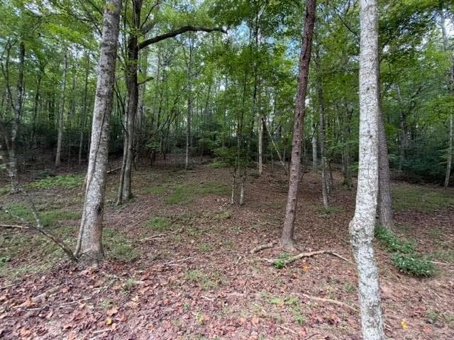 single family residence for sale at 133 Seneca Drive, Ellijay, GA 30540 — photo 6