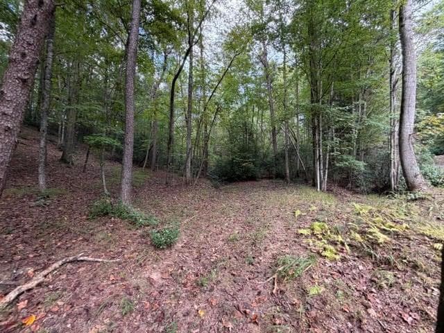 single family residence for sale at 133 Seneca Drive, Ellijay, GA 30540 — photo 7