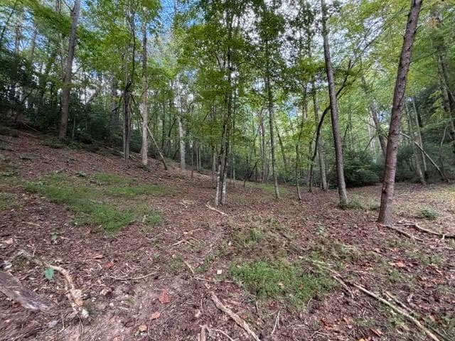 single family residence for sale at 133 Seneca Drive, Ellijay, GA 30540 — photo 8