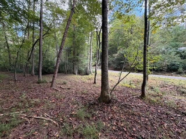 single family residence for sale at 133 Seneca Drive, Ellijay, GA 30540 — photo 9
