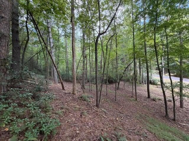 single family residence for sale at 133 Seneca Drive, Ellijay, GA 30540 — photo 10