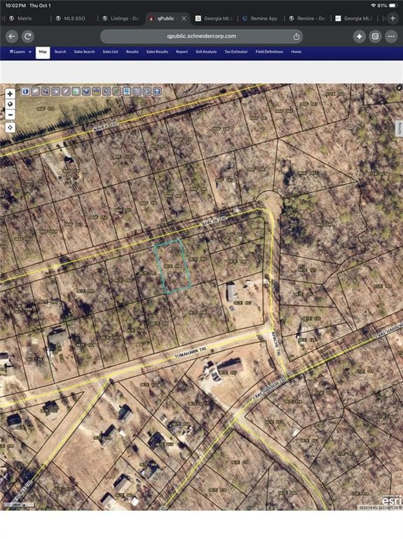 unimproved land for sale at 161 Apache Trail, Martin, GA 30557 — photo 4