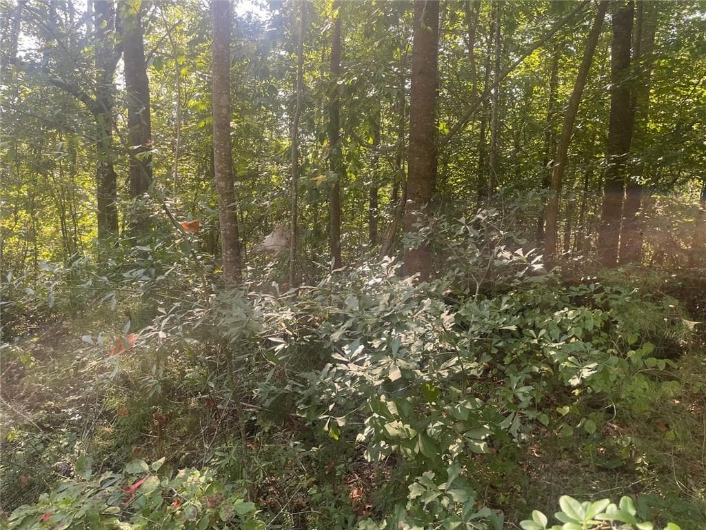 unimproved land for sale at 161 Apache Trail, Martin, GA 30557 — photo 5