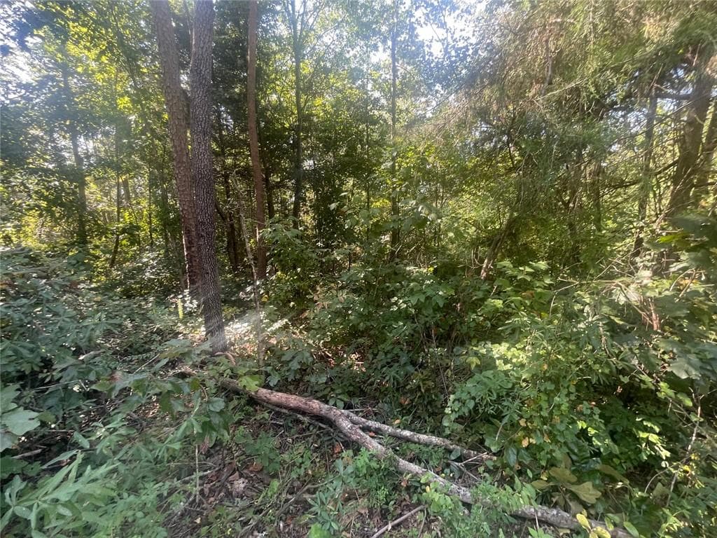 unimproved land for sale at 161 Apache Trail, Martin, GA 30557 — photo 6