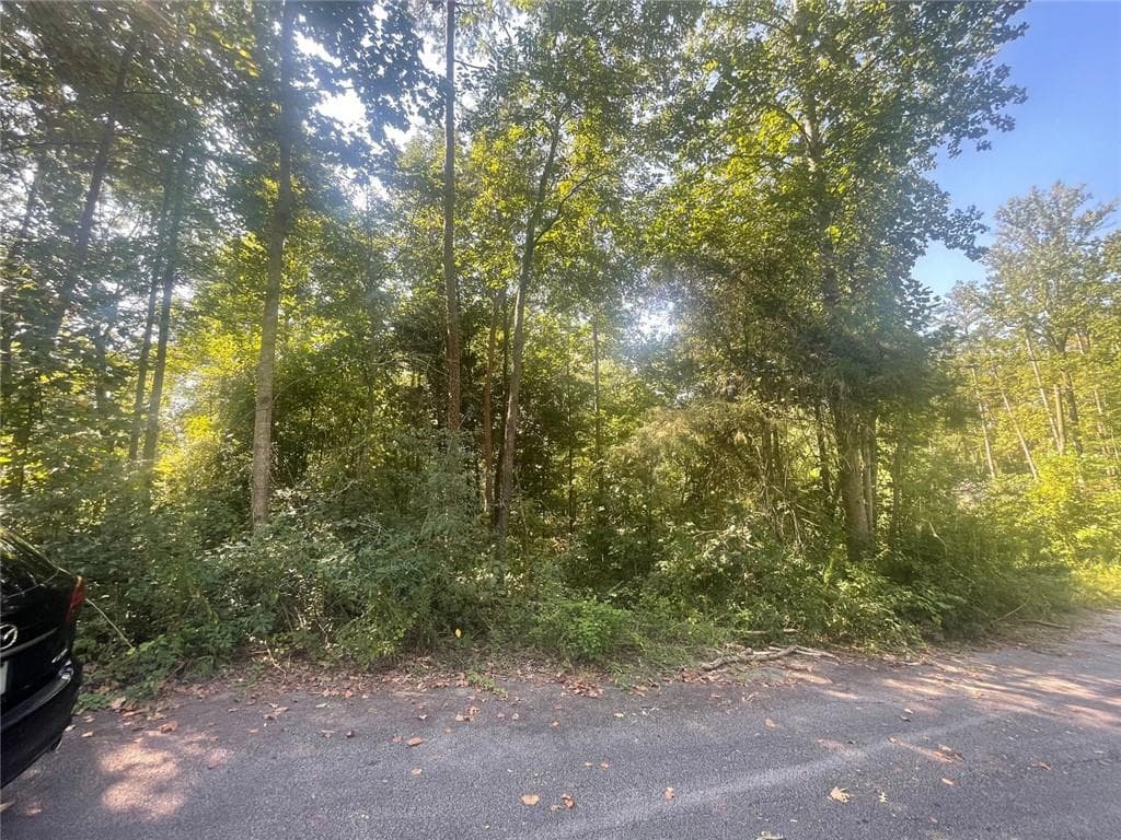 unimproved land for sale at 161 Apache Trail, Martin, GA 30557 — photo 7