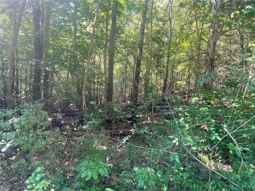 unimproved land for sale at 161 Apache Trail, Martin, GA 30557 — photo 8