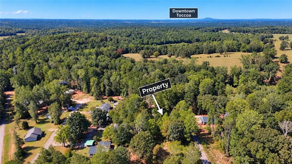 unimproved land for sale at 0 Apache, Martin, GA 30557 — photo 5