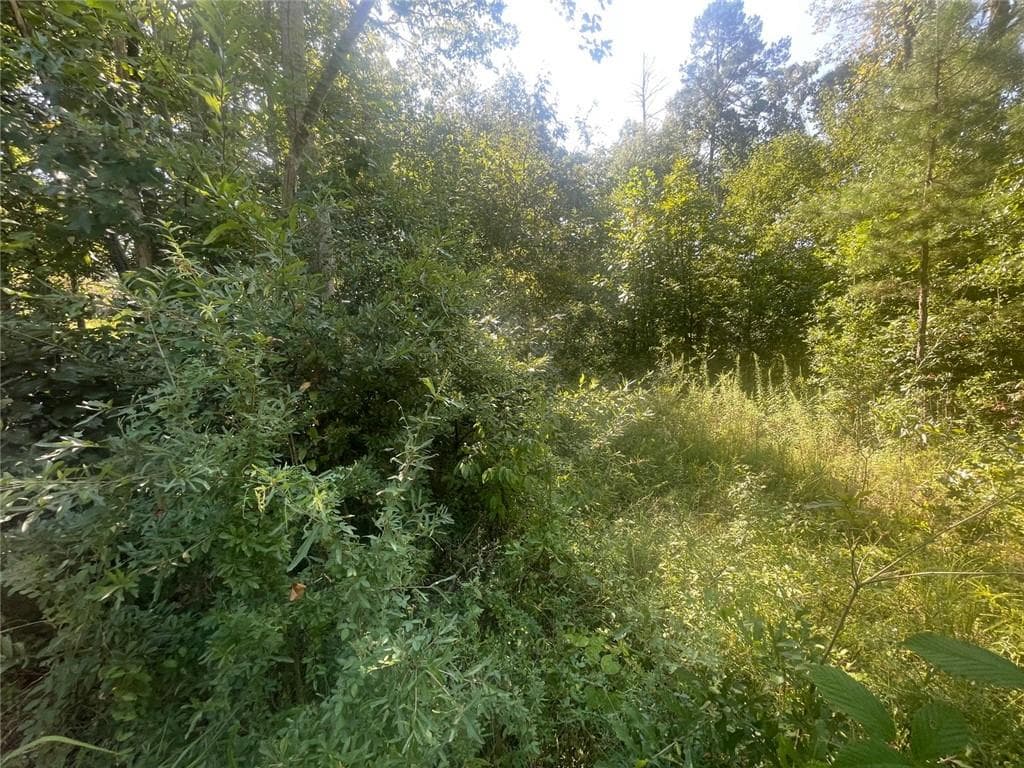 unimproved land for sale at 0 Apache, Martin, GA 30557 — photo 6