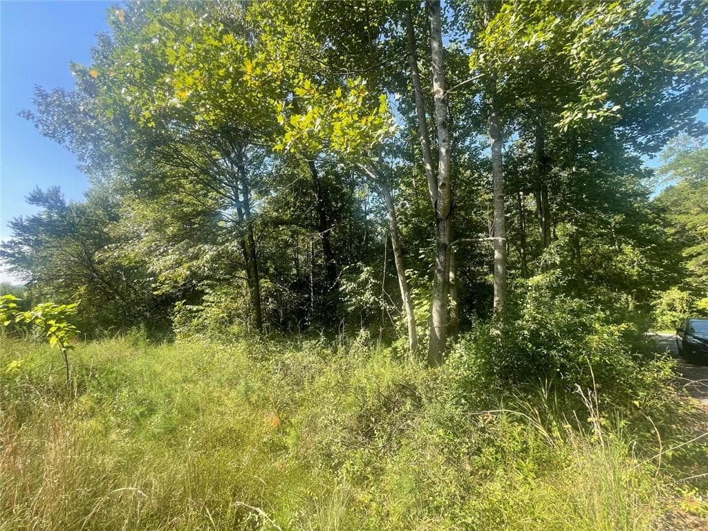 unimproved land for sale at 0 Apache, Martin, GA 30557 — photo 7