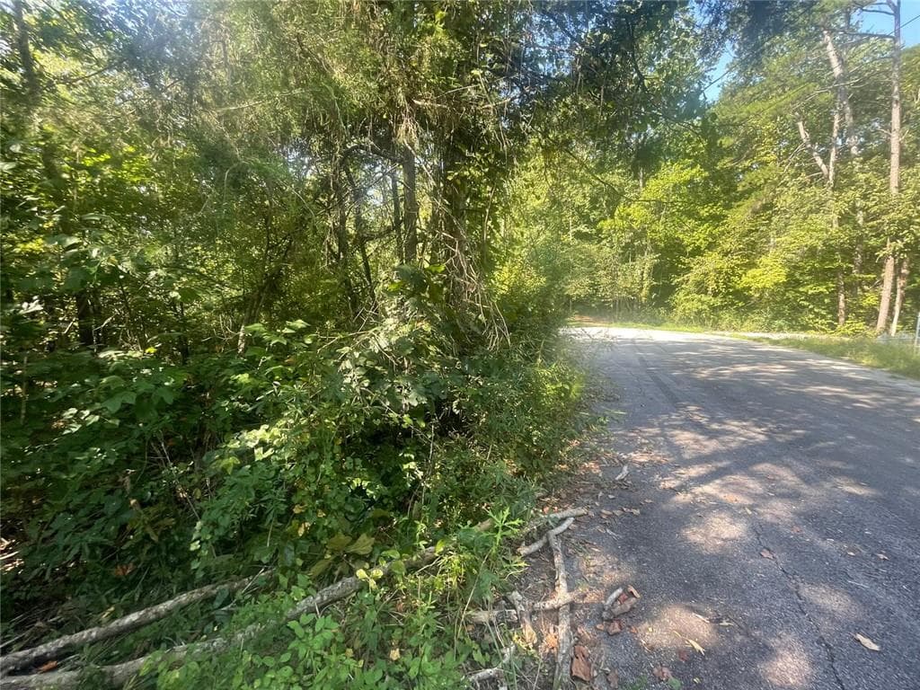 unimproved land for sale at 0 Apache, Martin, GA 30557 — photo 8