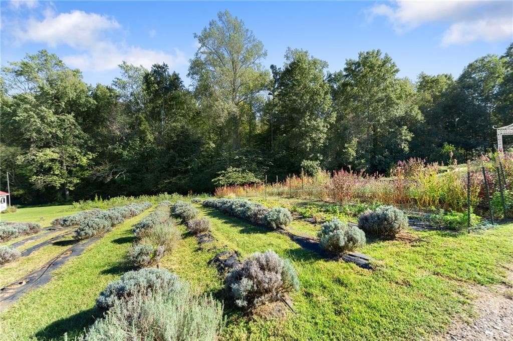 4 bedroom, 3 bathroom, 1,976 sq ft single family residence for sale at 2882 Red Oak Flats Road, Dahlonega, GA 30533 — photo 4