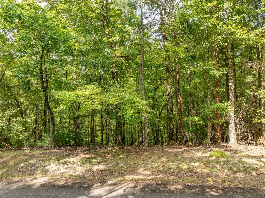 unimproved land for sale at LT 272 Seneca Drive, Ellijay, GA 30540 — photo 2