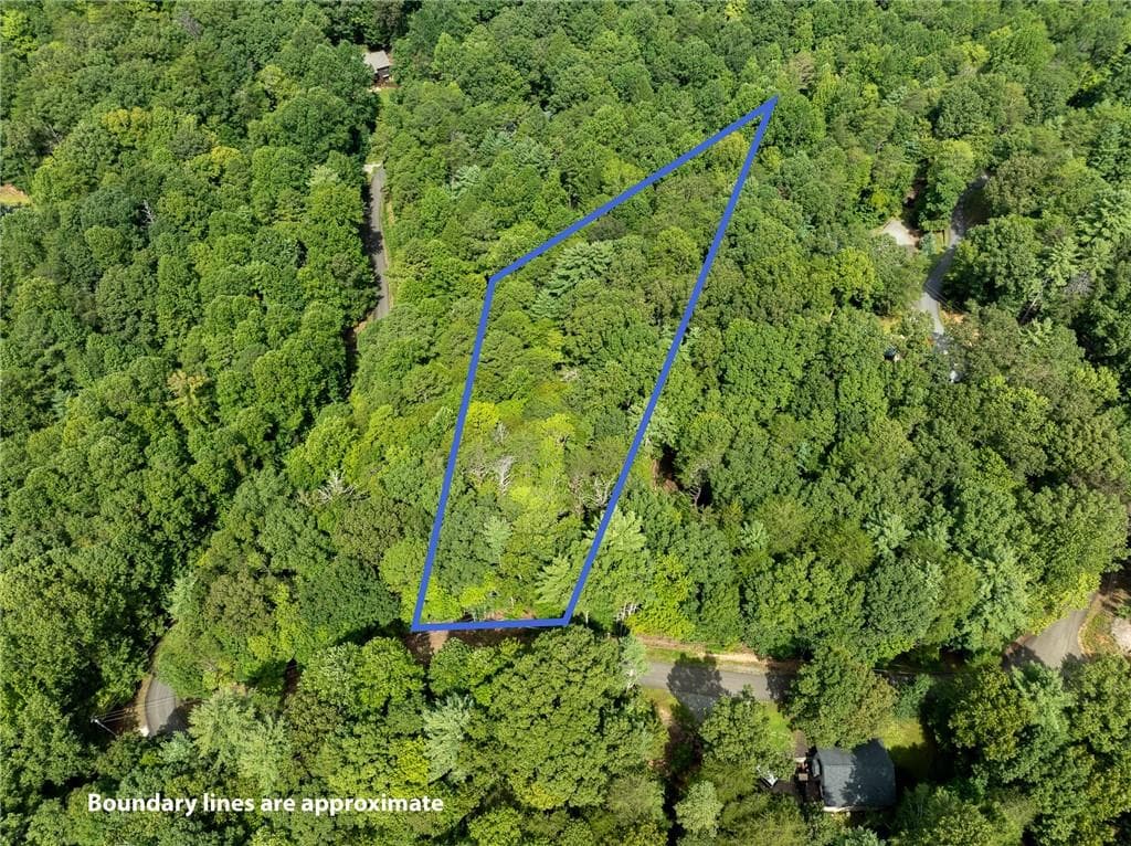 unimproved land for sale at LT 272 Seneca Drive, Ellijay, GA 30540 — photo 3