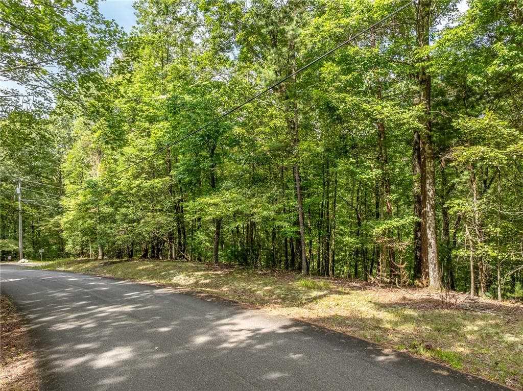 unimproved land for sale at LT 272 Seneca Drive, Ellijay, GA 30540 — photo 4