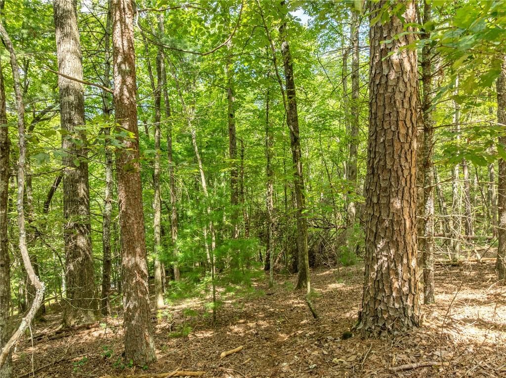 unimproved land for sale at LT 272 Seneca Drive, Ellijay, GA 30540 — photo 5