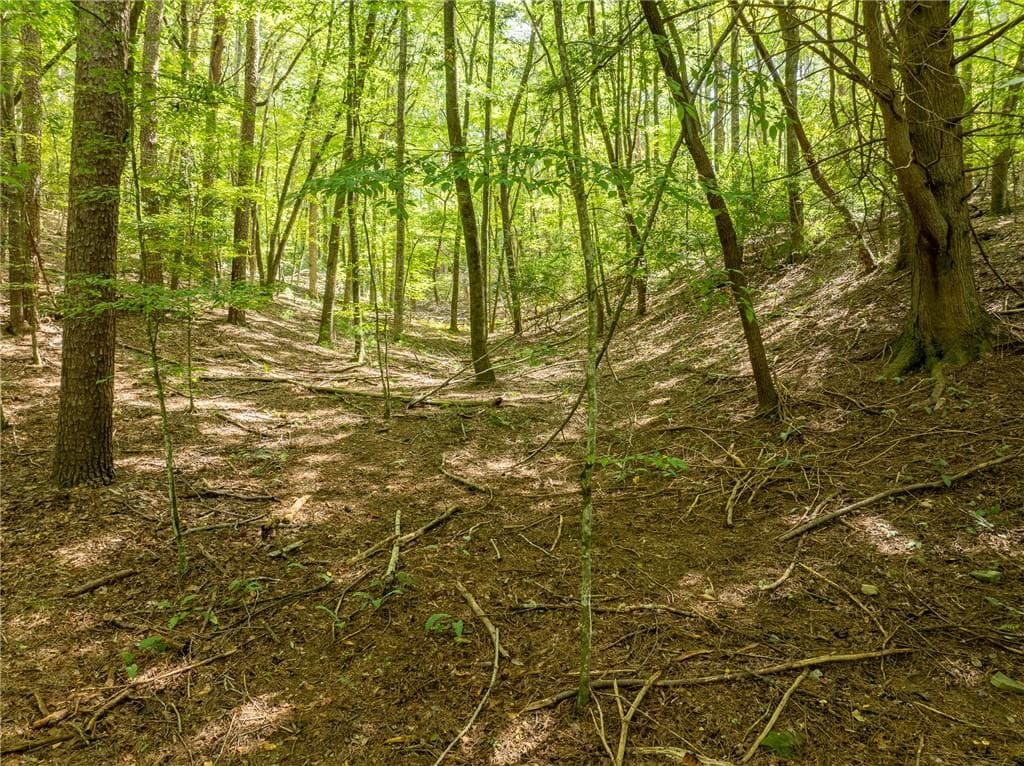 unimproved land for sale at LT 272 Seneca Drive, Ellijay, GA 30540 — photo 6
