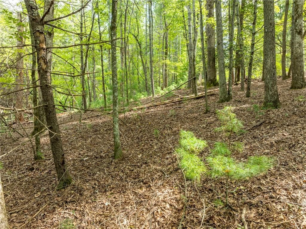unimproved land for sale at LT 272 Seneca Drive, Ellijay, GA 30540 — photo 7