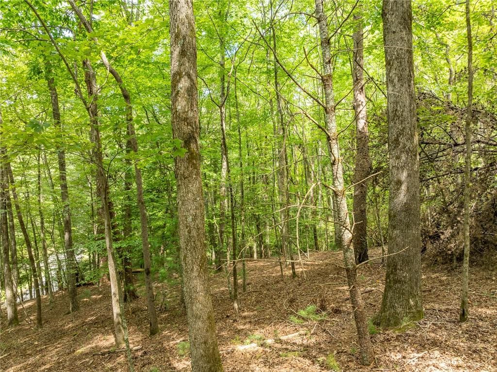 unimproved land for sale at LT 272 Seneca Drive, Ellijay, GA 30540 — photo 8