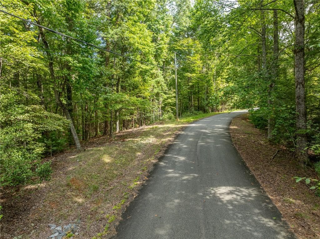 unimproved land for sale at LT 272 Seneca Drive, Ellijay, GA 30540 — photo 9