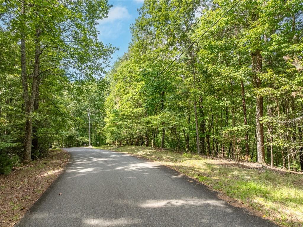 unimproved land for sale at LT 272 Seneca Drive, Ellijay, GA 30540 — photo 10