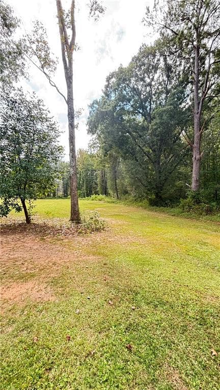 single family residence for sale at 0 Old Conyers Road, Stockbridge, GA 30281 — photo 3