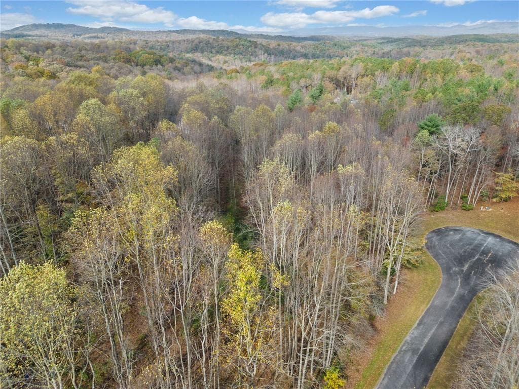 unimproved land for sale at LT 14 Highpoint Ridge Court, Ellijay, GA 30536 — photo 4