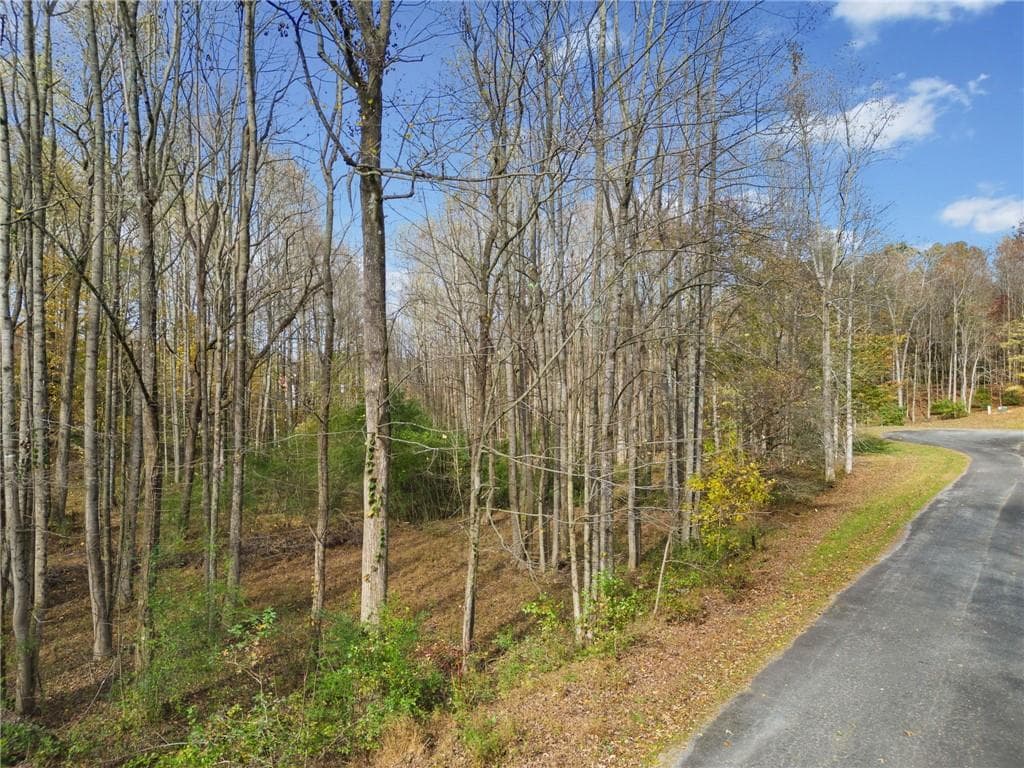 unimproved land for sale at LT 14 Highpoint Ridge Court, Ellijay, GA 30536 — photo 5