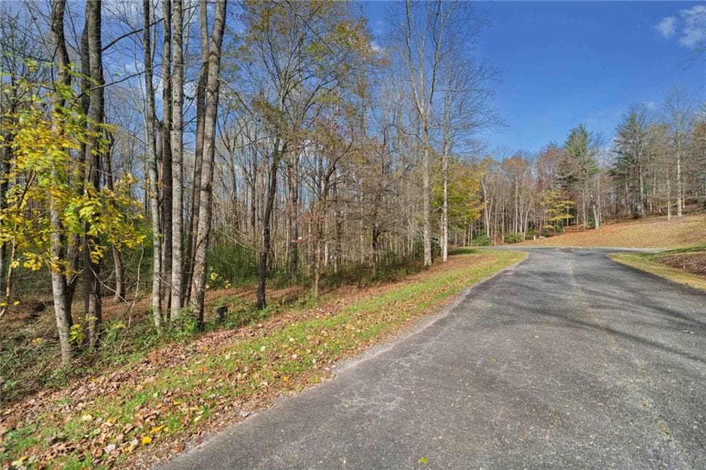unimproved land for sale at LT 14 Highpoint Ridge Court, Ellijay, GA 30536 — photo 6
