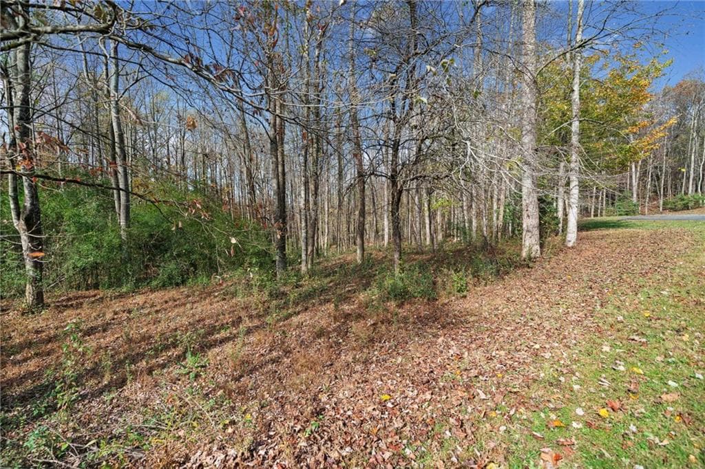 unimproved land for sale at LT 14 Highpoint Ridge Court, Ellijay, GA 30536 — photo 7