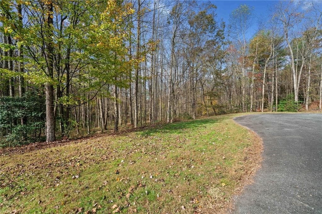 unimproved land for sale at LT 14 Highpoint Ridge Court, Ellijay, GA 30536 — photo 8