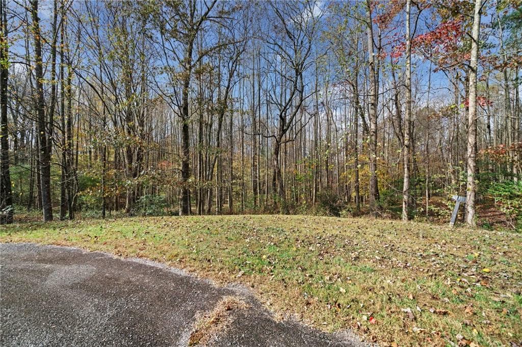 unimproved land for sale at LT 14 Highpoint Ridge Court, Ellijay, GA 30536 — photo 9