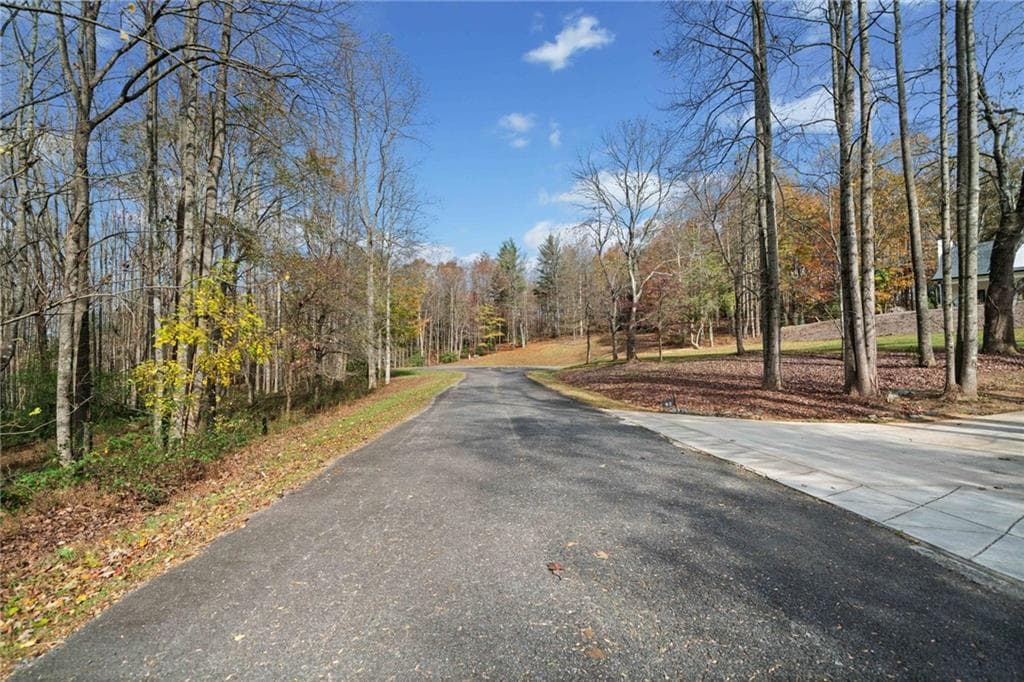 unimproved land for sale at LT 14 Highpoint Ridge Court, Ellijay, GA 30536 — photo 10