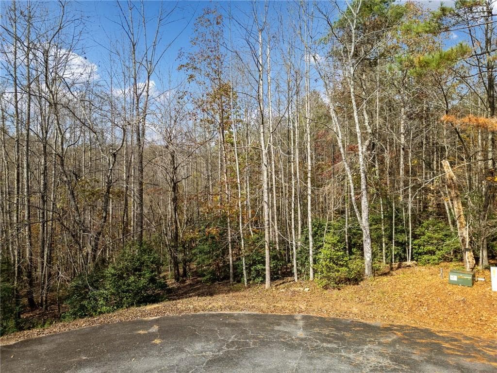 unimproved land for sale at LT 7 Highpoint Ridge Road, Ellijay, GA 30536 — photo 3