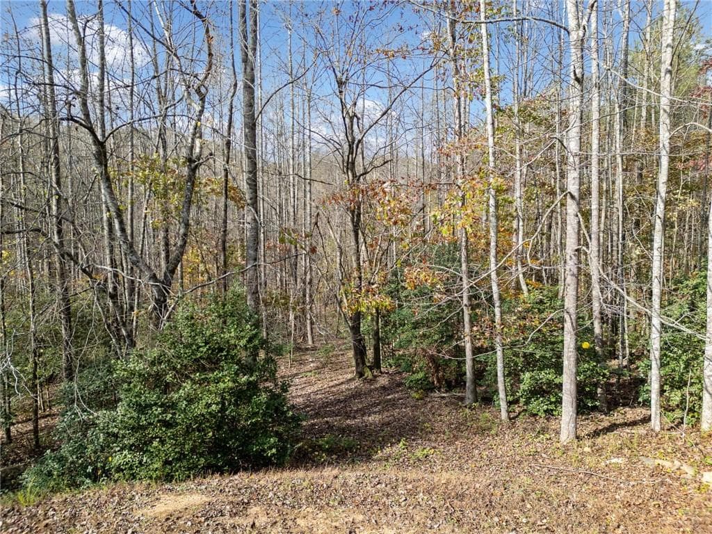 unimproved land for sale at LT 7 Highpoint Ridge Road, Ellijay, GA 30536 — photo 4