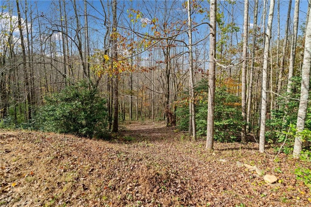 unimproved land for sale at LT 7 Highpoint Ridge Road, Ellijay, GA 30536 — photo 5