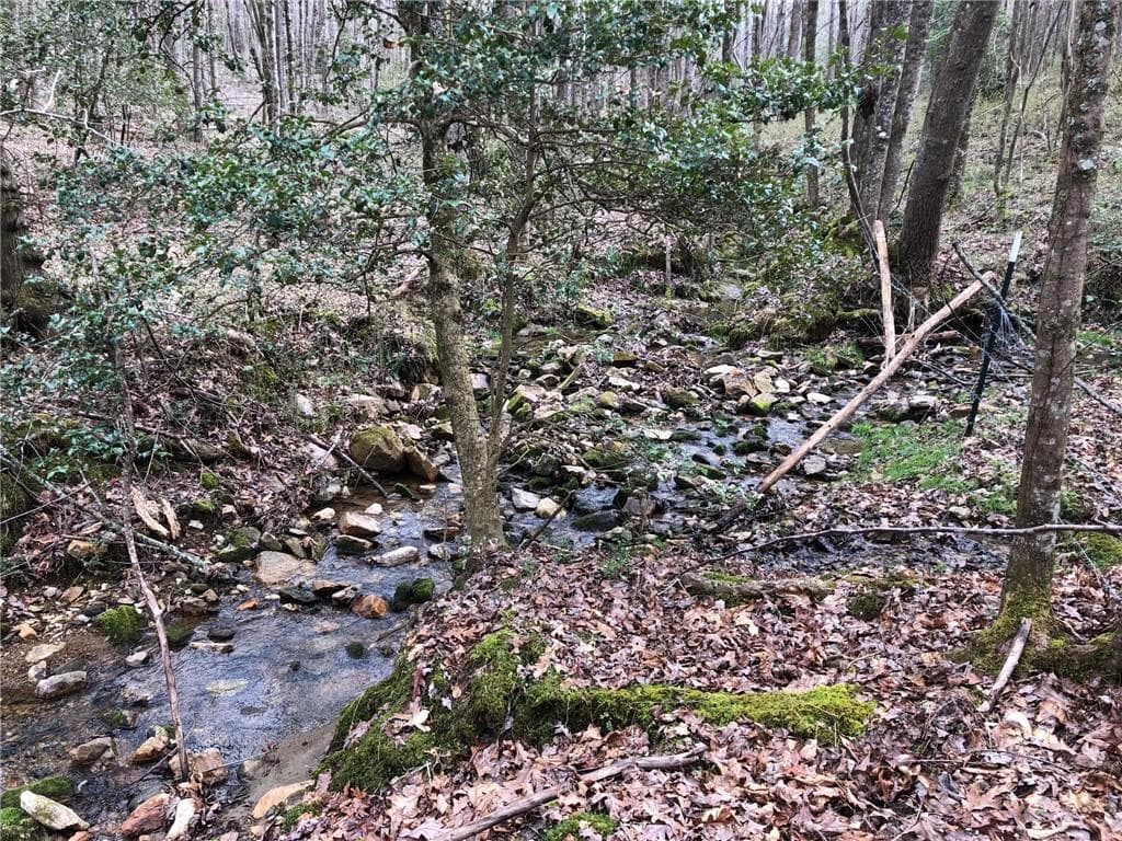 unimproved land for sale at LT 7 Highpoint Ridge Road, Ellijay, GA 30536 — photo 6