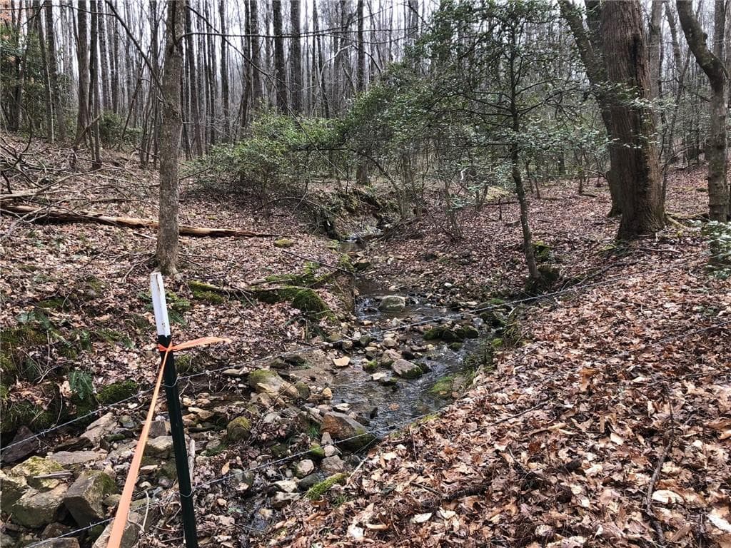 unimproved land for sale at LT 7 Highpoint Ridge Road, Ellijay, GA 30536 — photo 7
