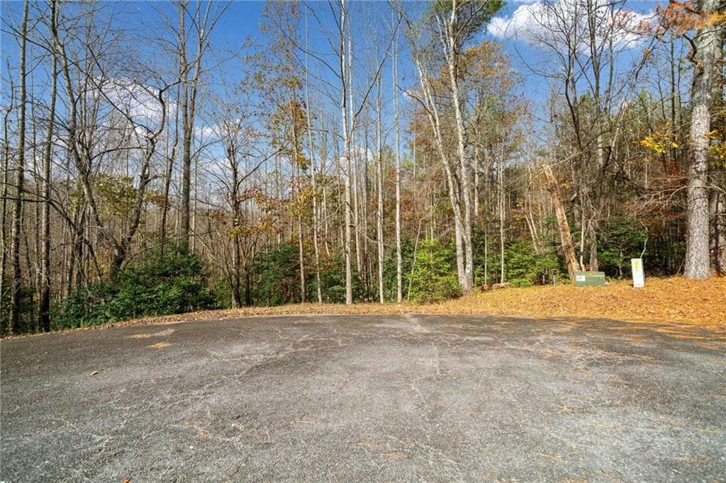 unimproved land for sale at LT 7 Highpoint Ridge Road, Ellijay, GA 30536 — photo 8